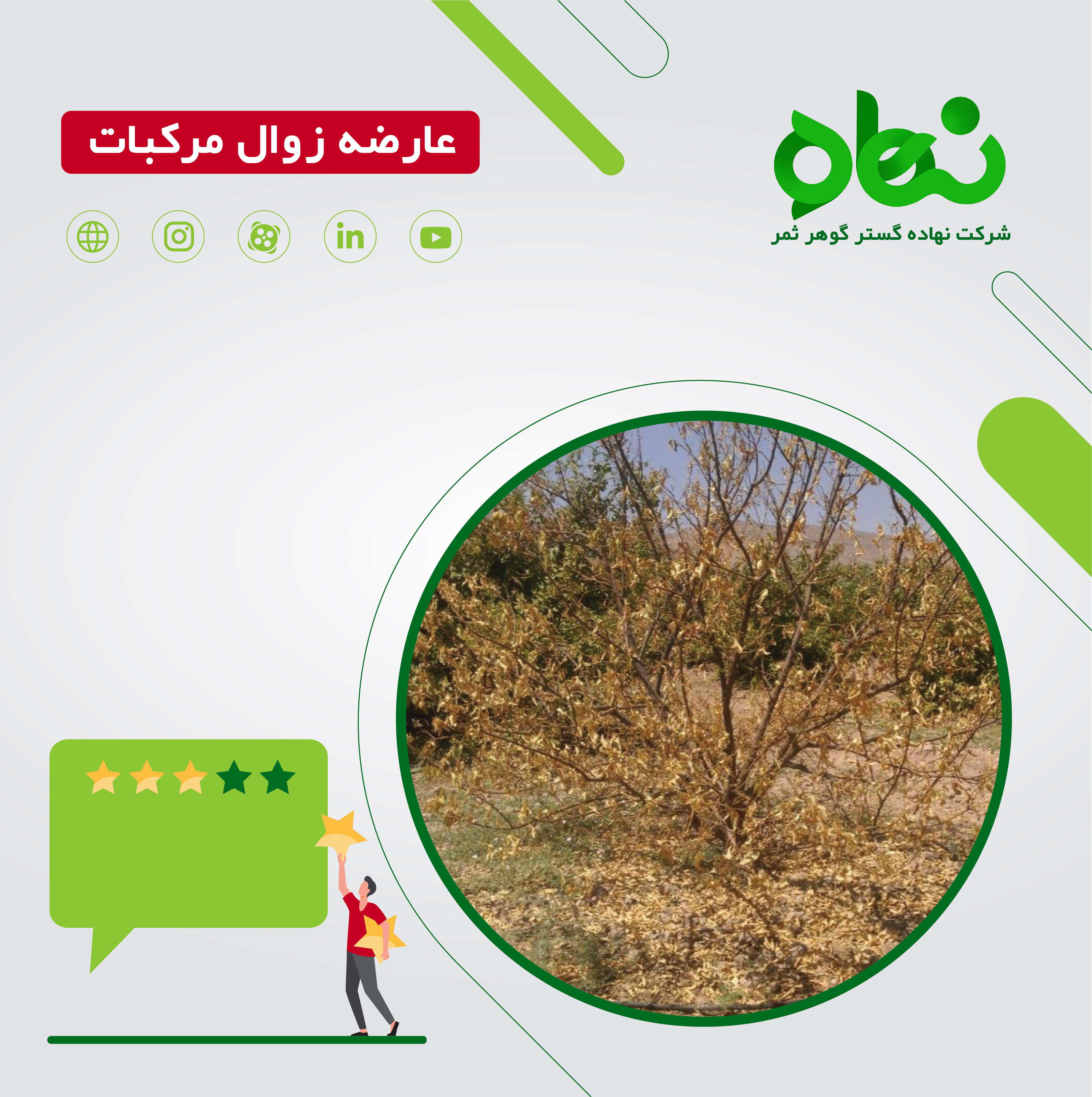 علل زوال مرکبات در استان فارس